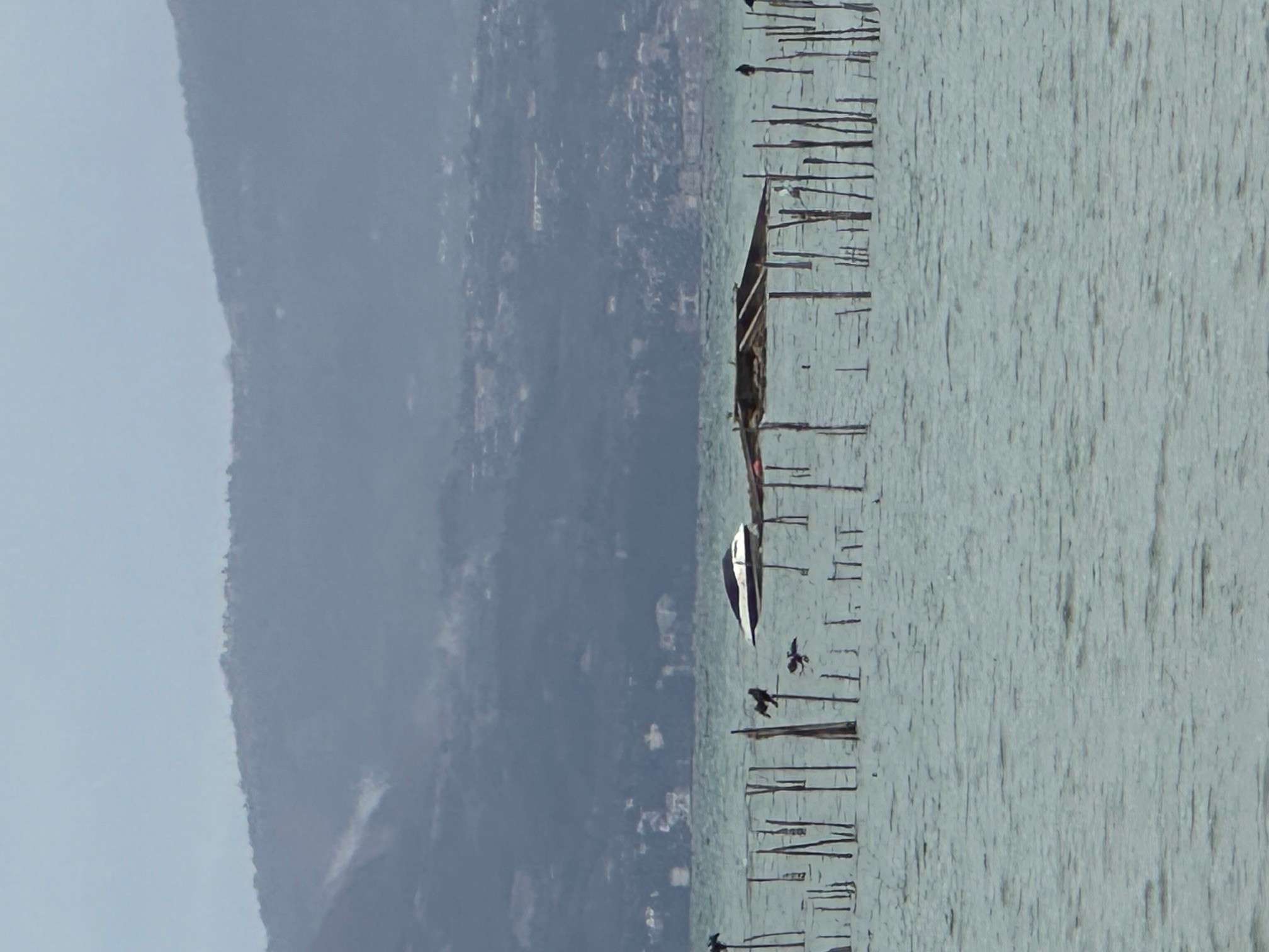 Natante spiaggiato - Comune di Sirmione
